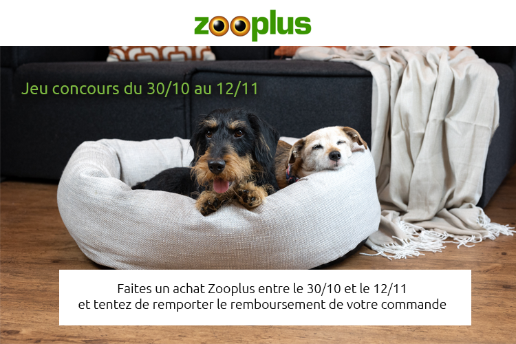 zooplus-chien-panier